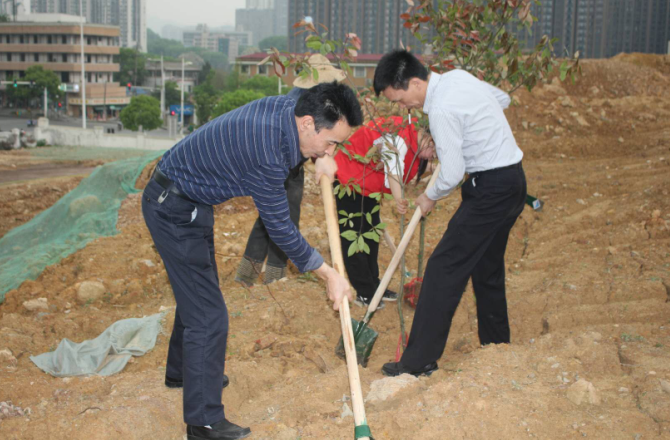 植树现场.png