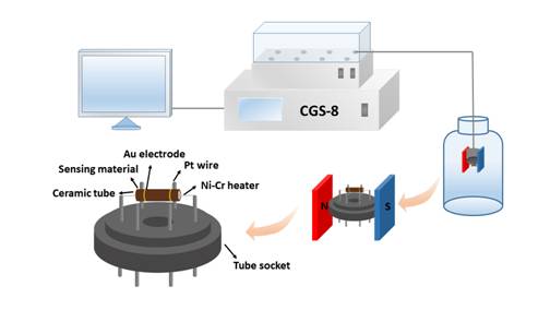 Figure S1